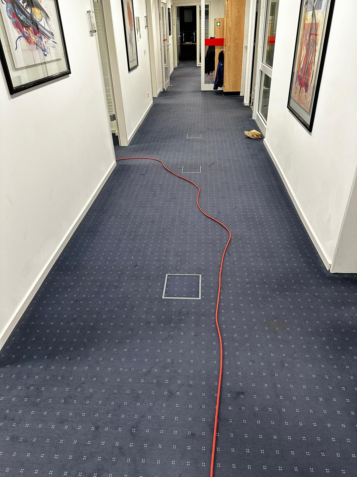 Teppichreinigung - Vorher